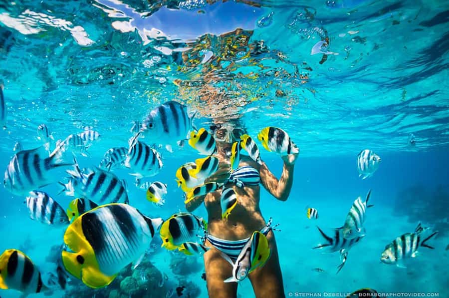 From Santa Marta: Sisiguaca Beach Hike with Snorkeling - Snorkeling with corals and fish