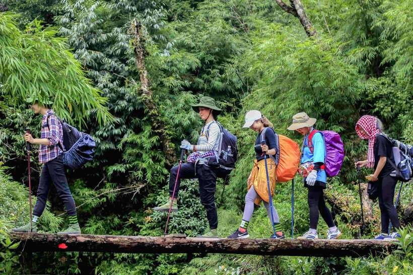 From Sapa: Fansipang Mountain Hike 1 Day - Key points to know before you book