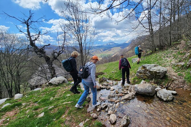 From Sarajevo: Full-Day Hike to Lukomir Village - The 2.5-hour walk toward Lukomir
