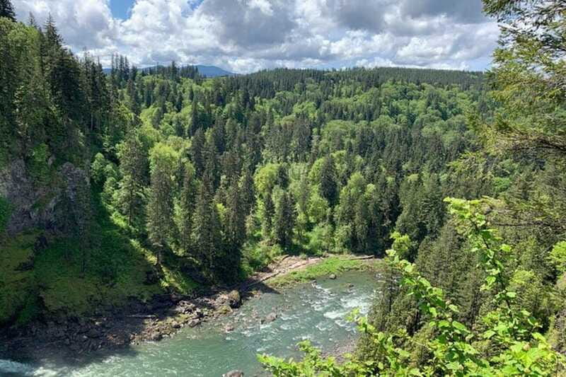 From Seattle: Pacific Northwest Waterfalls & Hiking Tour - Guides, group size, and the ride