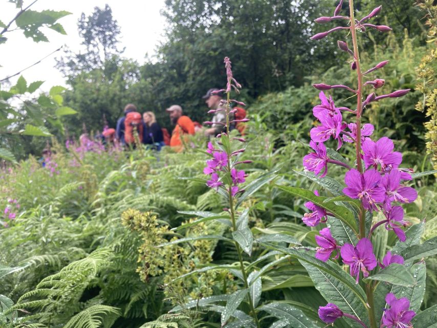 From Seward: 6-hour Wilderness Hiking Tour - Who will get the most from this Seward hike