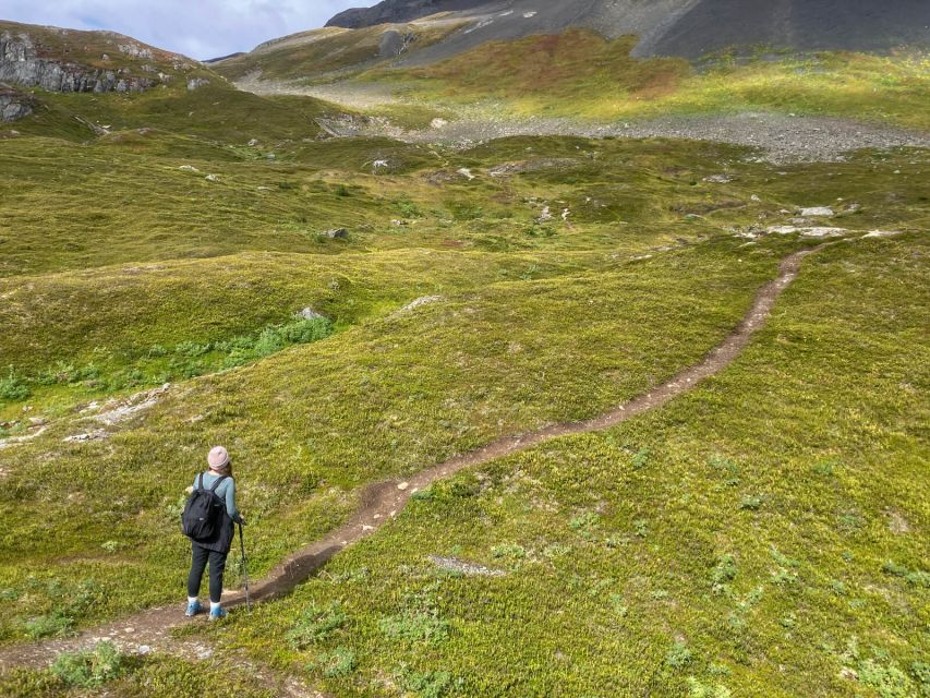From Seward: Harding Icefield Trail Hiking Tour - Exit Glacier views and the Harding Icefield approach