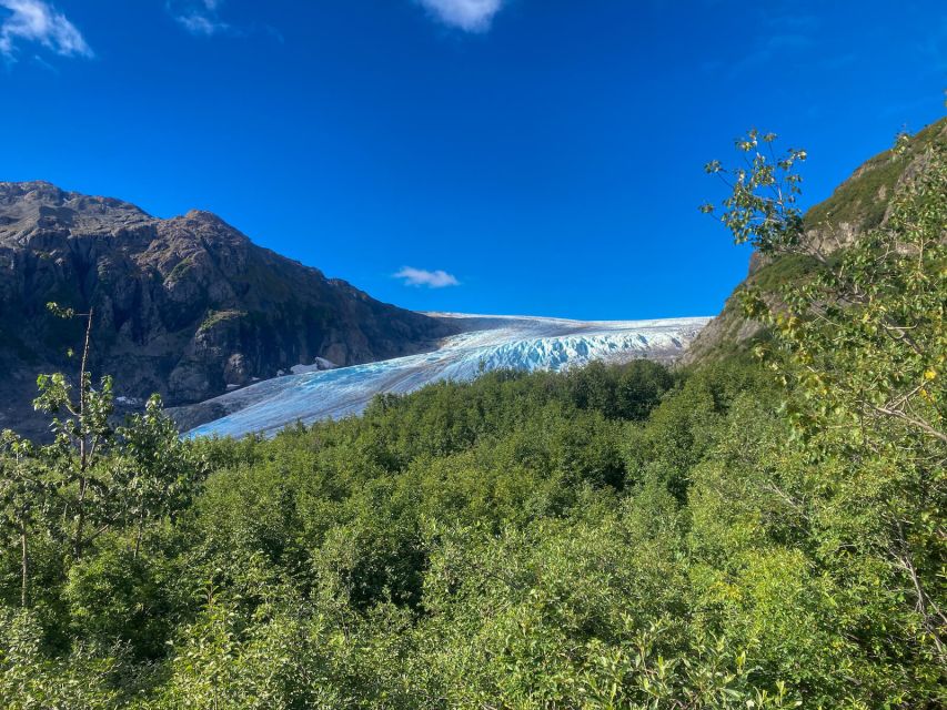 From Seward: Harding Icefield Trail Hiking Tour - Is $342 per person a fair price?