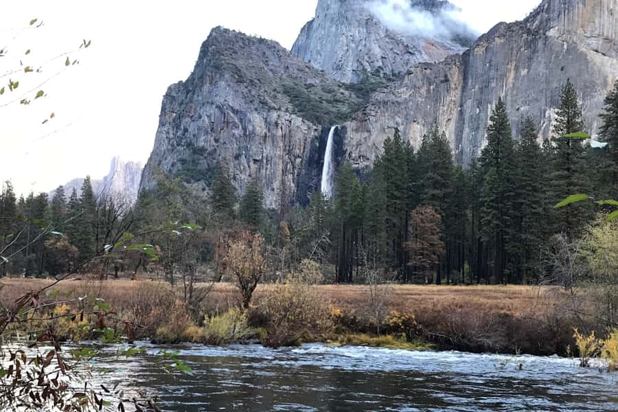 From SF: Yosemite Day Trip with Giant Sequoias Hike & Pickup - Free time is your chance to slow down