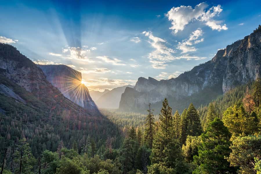 From SF: Yosemite Day Trip with Giant Sequoias Hike & Pickup - Tuolumne Grove and its 1,500-year-old trees