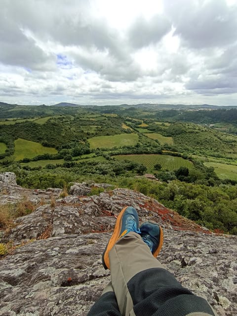 From Sintra, Mafra, or Ericeira: Hike and Wine Tour - Starting from Sintra, Mafra, or Ericeira