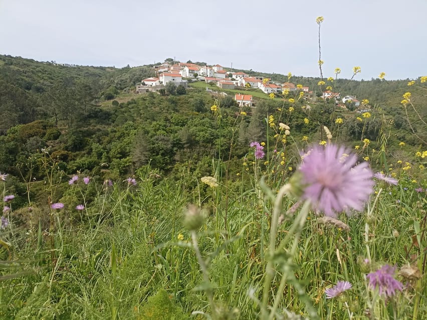 From Sintra, Mafra, or Ericeira: Hike and Wine Tour - Mata Pequena and the feel of old rural Portugal