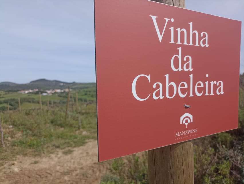 From Sintra, Mafra, or Ericeira: Hike and Wine Tour - Penedo do Lexim, an ancient volcanic chimney
