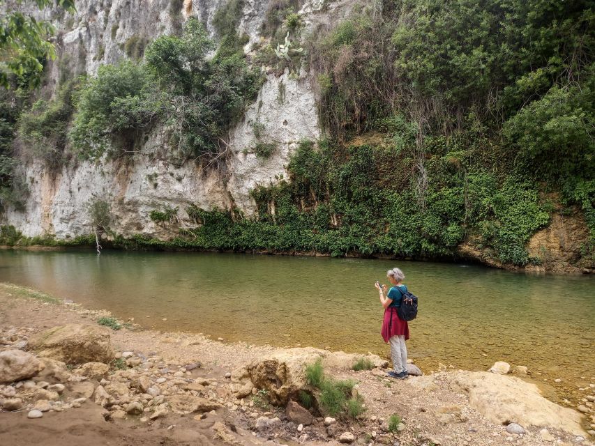 From Siracusa: Pantalica Nature Reserve Guided Hiking Tour - Plant life, river country, and a possible swim