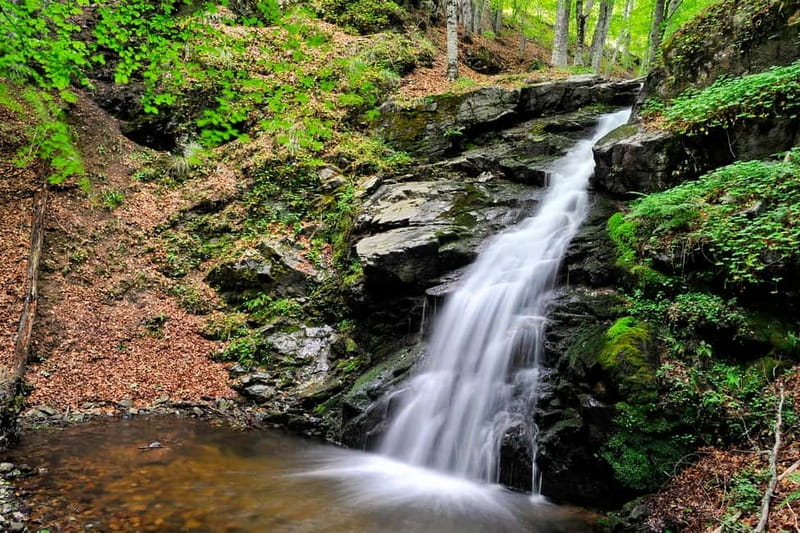 From Skopje: Berovo Full Day Tour and Hike - The Berovo Lake walk and its changing scenery
