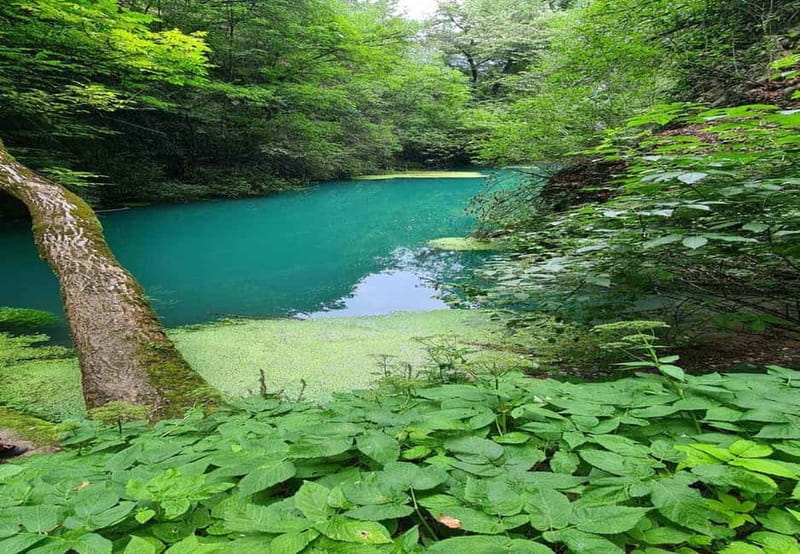 From Sofia: Zlatna Panega River Hike with Springs Visit - Why this Sofia day trip feels different