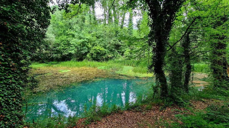 From Sofia: Zlatna Panega River Hike with Springs Visit - The drive from Sofia to Zlatna Panega