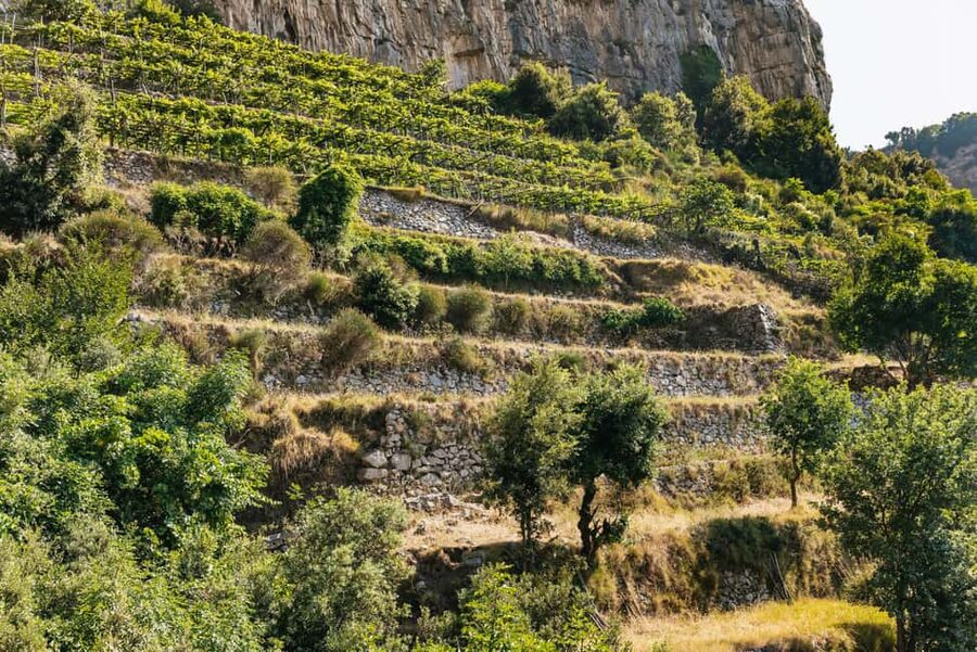 From Sorrento: Path of the Gods Guided Hike with Transfers - FAQ