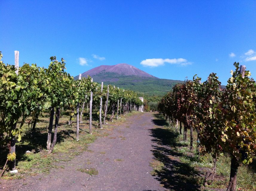 From Sorrento: Skip-the-Line Guided Vesuvius Hike and Lunch - Reaching Vesuvius at 1,000 Meters