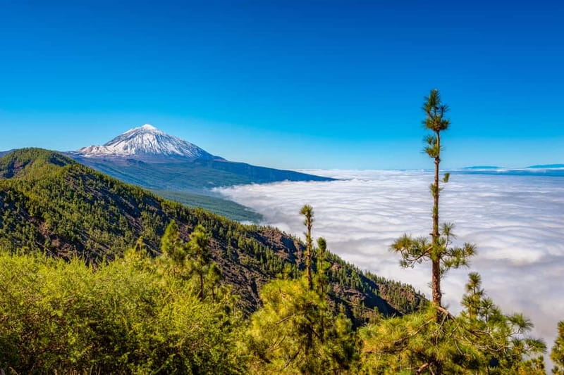 From South Tenerife: Mount Teide Hiking Day Trip & Cable Car - The final 170 meters to the crater