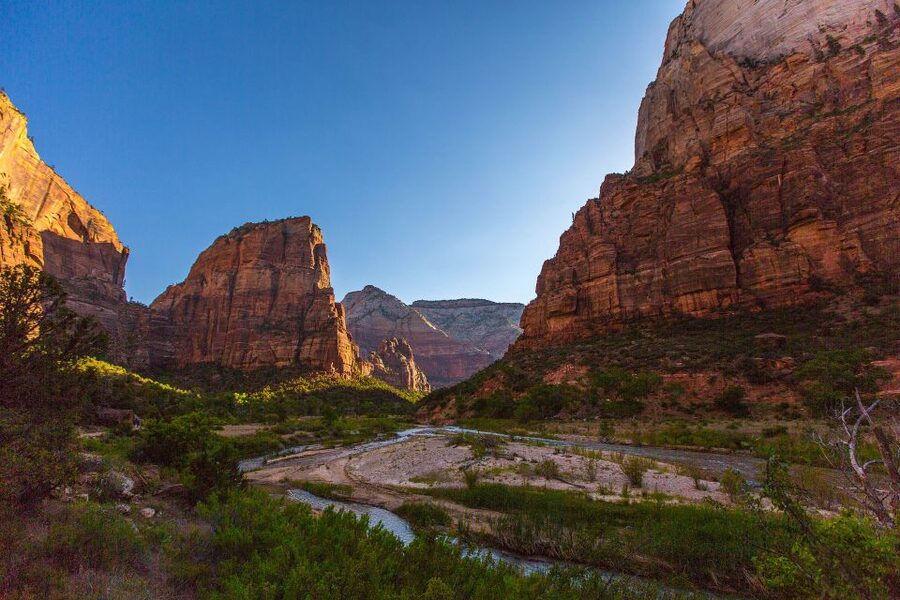 From Springdale: Greater Zion Scenic Hiking Tour - Why a private guide can improve the day