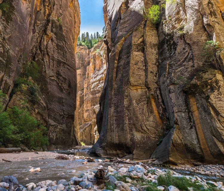 From Springdale: The Zion Narrows Hike with Lunch - Walking inside Zion’s famous slot canyon