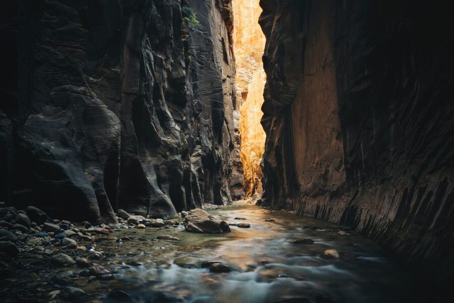 From Springdale: The Zion Narrows Hike with Lunch - Why a guide is worth considering at $320