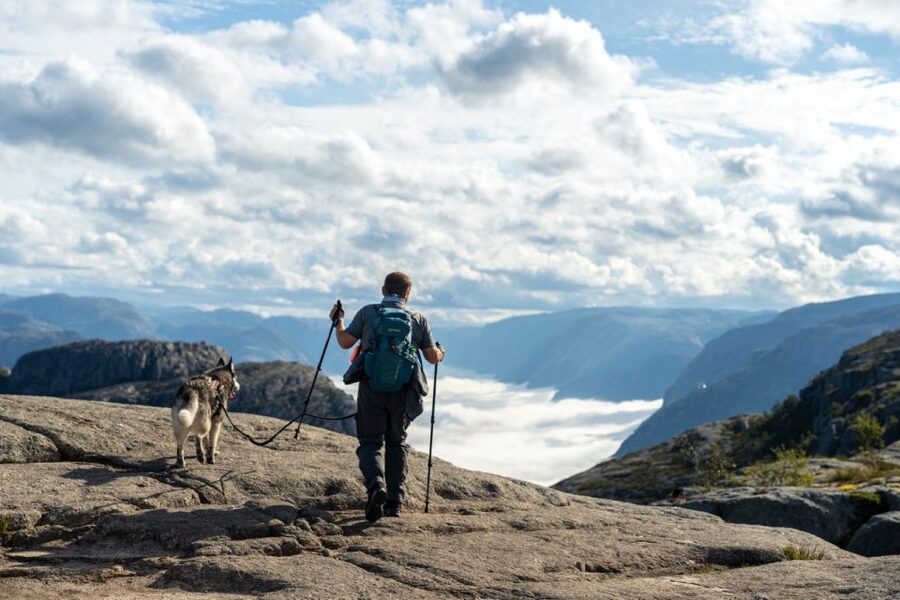 From Stavanger: Pulpit Rock Guided Hike with Pickup - From Stavanger through the Ryfast tunnel