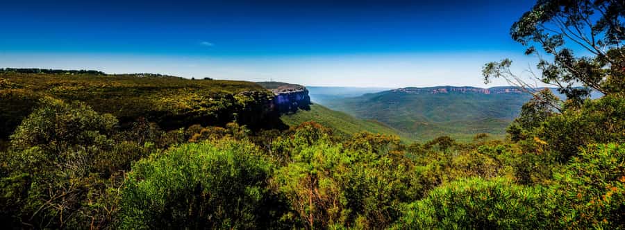 From Sydney: Blue Mountains Small-Group Tour Picnic & Hike - Jamison Valley and the first mountain views