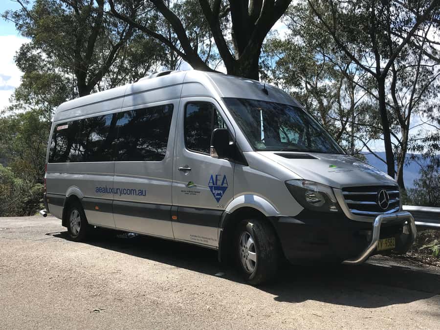 From Sydney: Blue Mountains Small-Group Tour Picnic & Hike - What the $224 price really buys