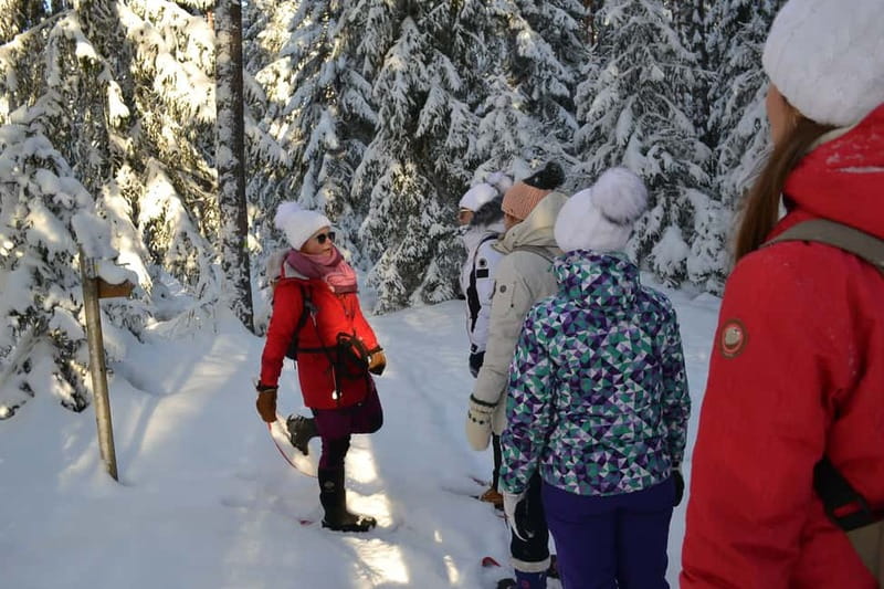From Tallinn: Guided Bog-Shoe Hiking Tour - Why Estonia’s bogs are worth leaving Tallinn for