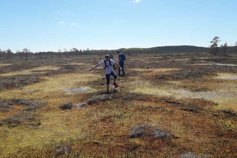 From Tallinn: Guided Bog-Shoe Hiking Tour - Two hours across Kõnnu Suursoo