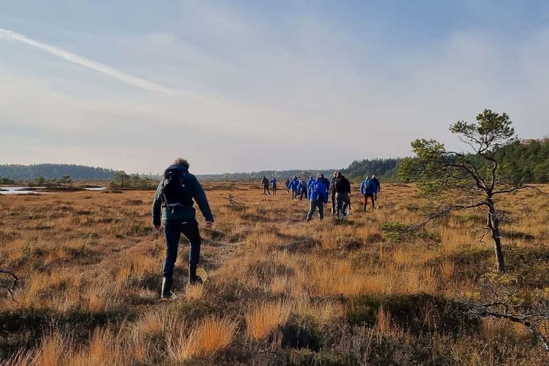 From Tallinn: Guided Bog-Shoe Hiking Tour - Shoes, weather, and what to pack