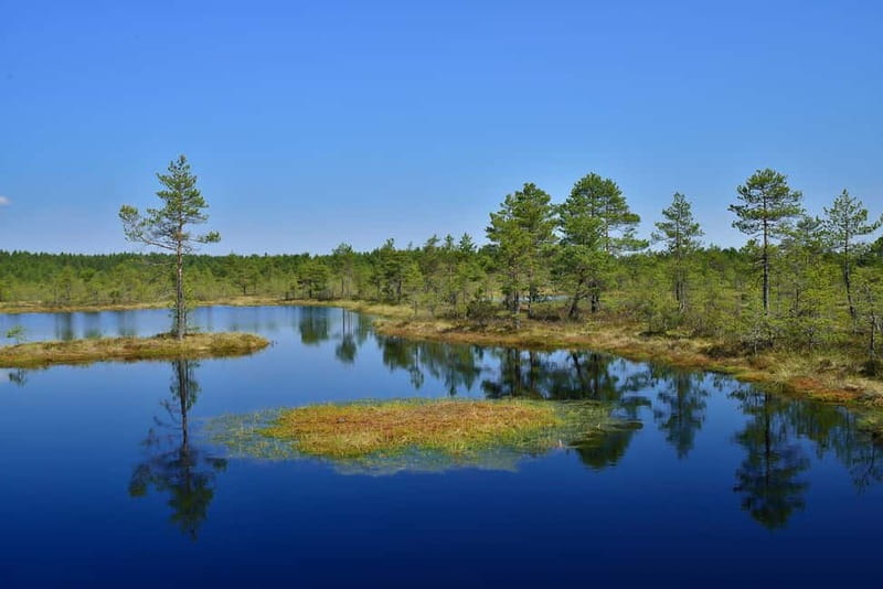 From Tallinn: Guided Bog-Shoe Hiking Tour - Is $173 a fair price?
