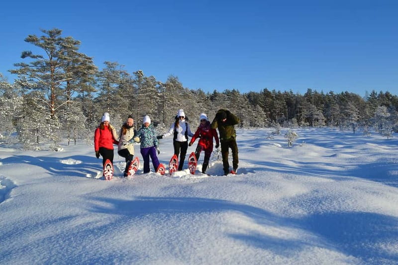 From Tallinn: Guided Bog-Shoe Hiking Tour - Who should book this bog walk?