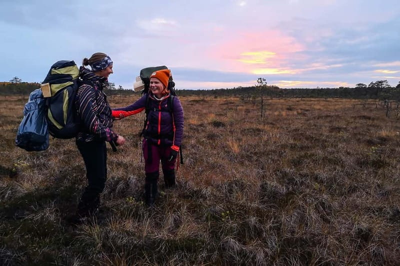 From Tallinn: Guided Bog-Shoe Hiking Tour - The one-hour ride from Tallinn