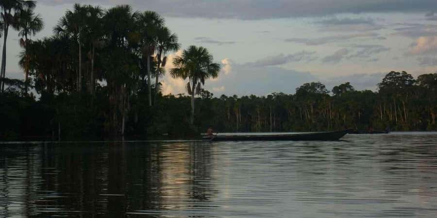 From Tambopata: Amazon Jungle Hike and Lake Sandoval 1-Day - Key points at a glance