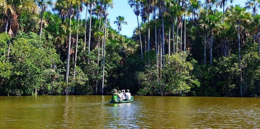 From Tambopata: Amazon Jungle Hike and Lake Sandoval 1-Day - Is $60 good value for this Amazon day trip?