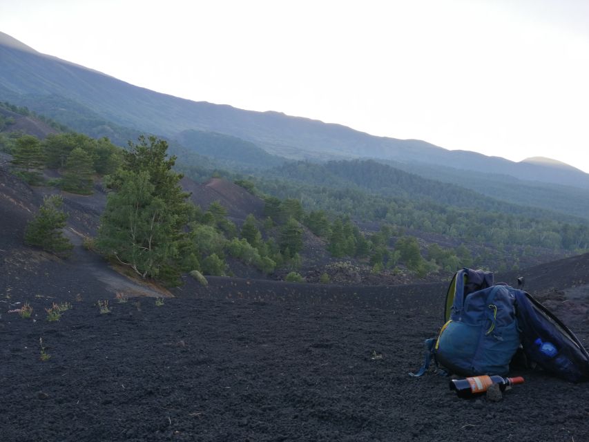 From Taormina: Mount Etna Half-Day Evening Hike - Walking through woodland and extinct craters