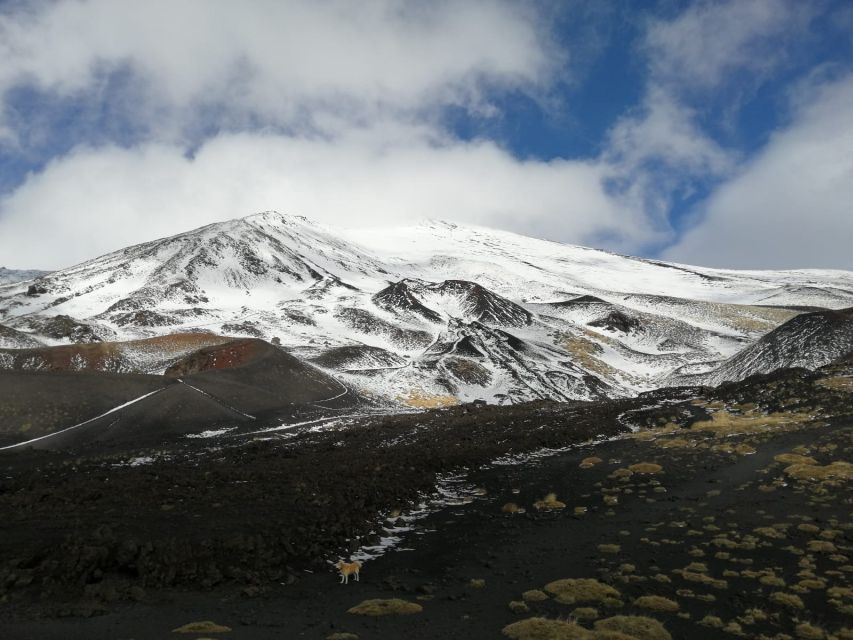 From Taormina or Catania: Private Full-Day Mount Etna Hike - The lava tube is the day’s unusual stop