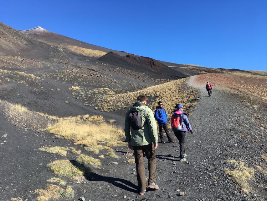 From Taormina or Catania: Private Full-Day Mount Etna Hike - The Valle del Bove view