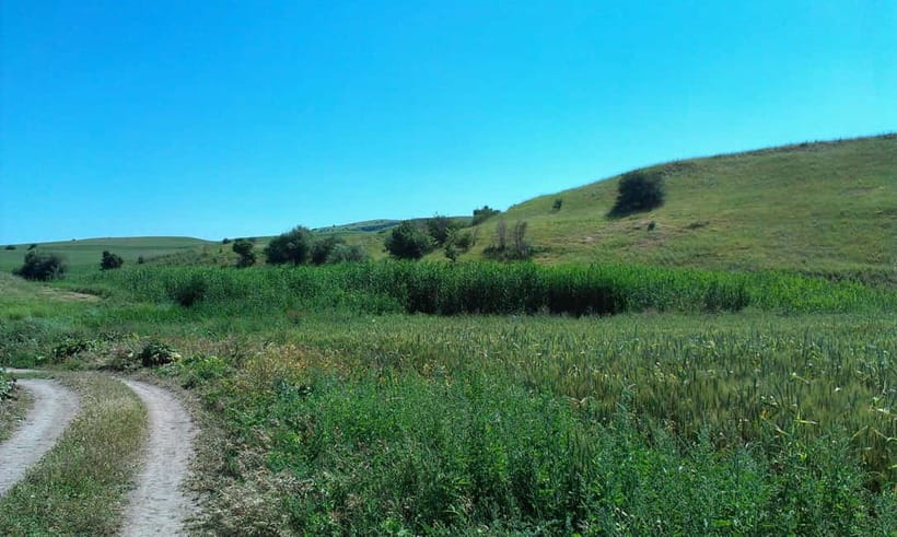 From Tashkent: Chimgan Valley Hiking Day Trip - Guides who shape the day
