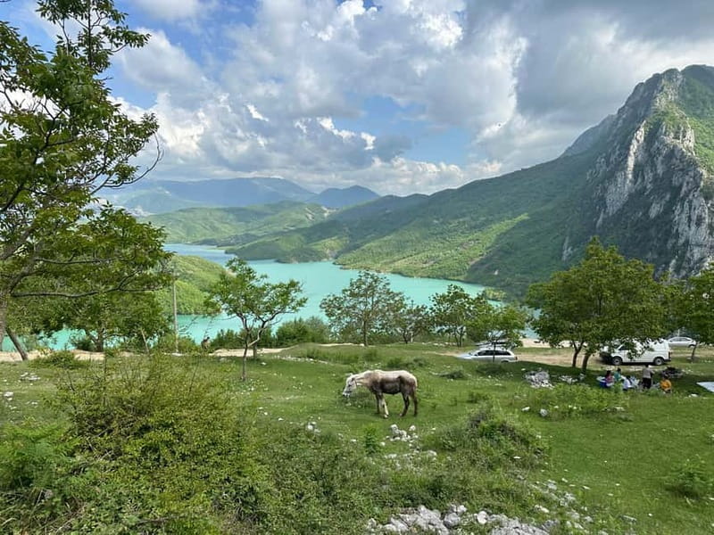 From Tirana: Bovilla Lake & Gamti Mountain Viewpoint Hike - What the guides add to the day