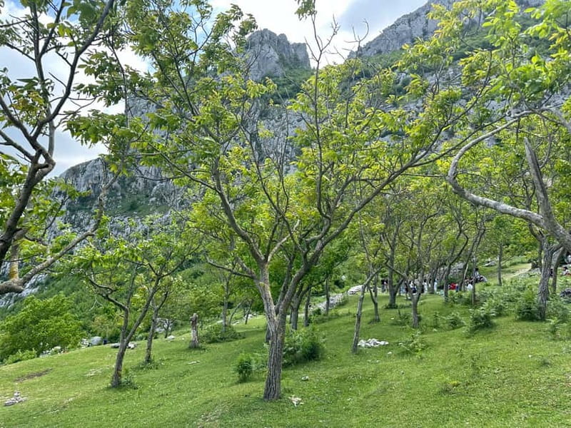 From Tirana: Bovilla Lake & Gamti Mountain Viewpoint Hike - Who will enjoy this outing most?