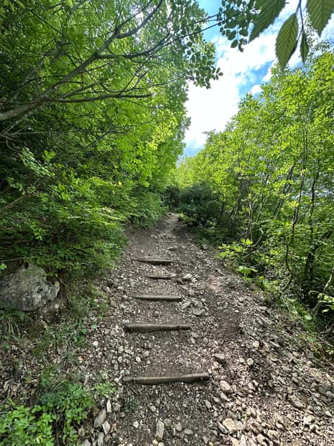 From Tirana: Pëllumbas hiking & Cave exploration - What $58 buys you