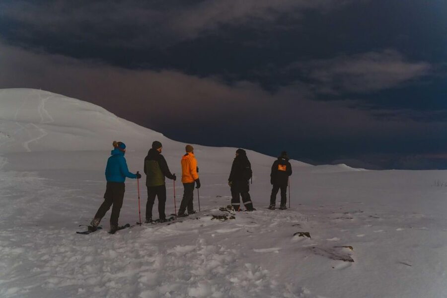 From Tromsø: Evening Fjellheisen Snowshoe Hike and Cable Car - Key points to know before booking