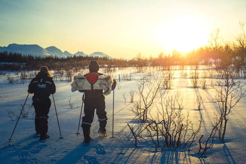 From Tromsø: Guided Husky Snowshoe Hike and Husky Camp Visit - Key points to know before you book