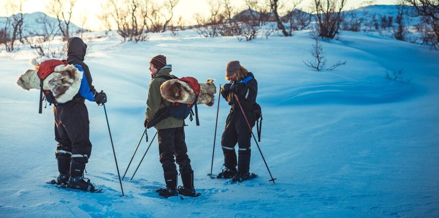 From Tromsø: Guided Husky Snowshoe Hike and Husky Camp Visit - Should you book the husky snowshoe hike?