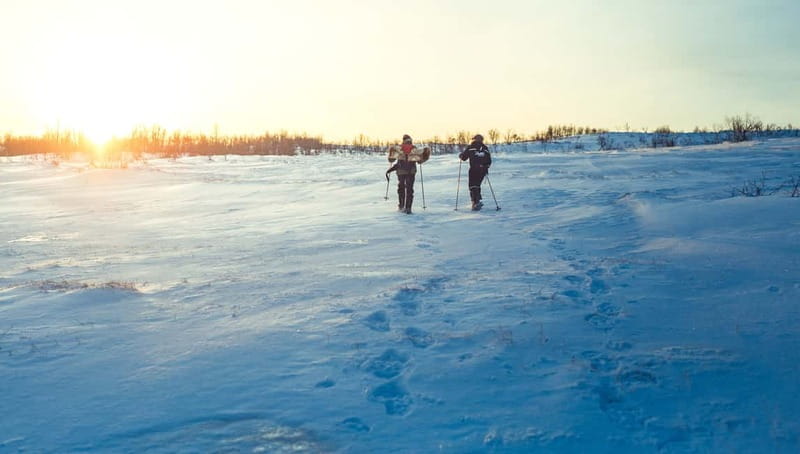 From Tromsø: Guided Husky Snowshoe Hike and Husky Camp Visit - Mountain views and a warm trail break