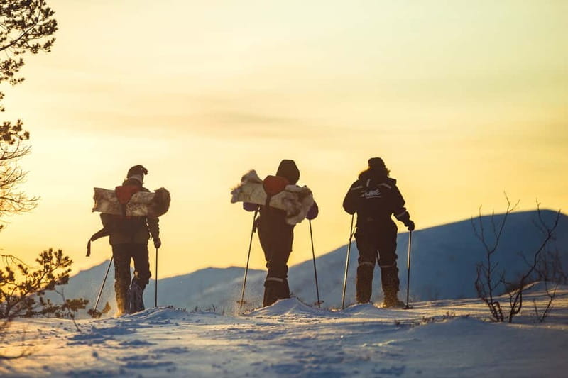 From Tromsø: Guided Husky Snowshoe Hike and Husky Camp Visit - Meeting the rest of the 200 huskies