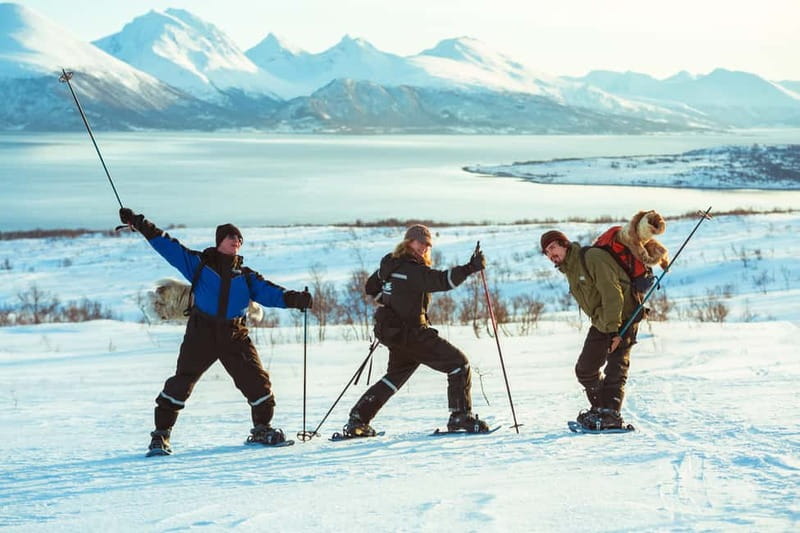 From Tromsø: Guided Husky Snowshoe Hike and Husky Camp Visit - Who should book this Tromsø outing