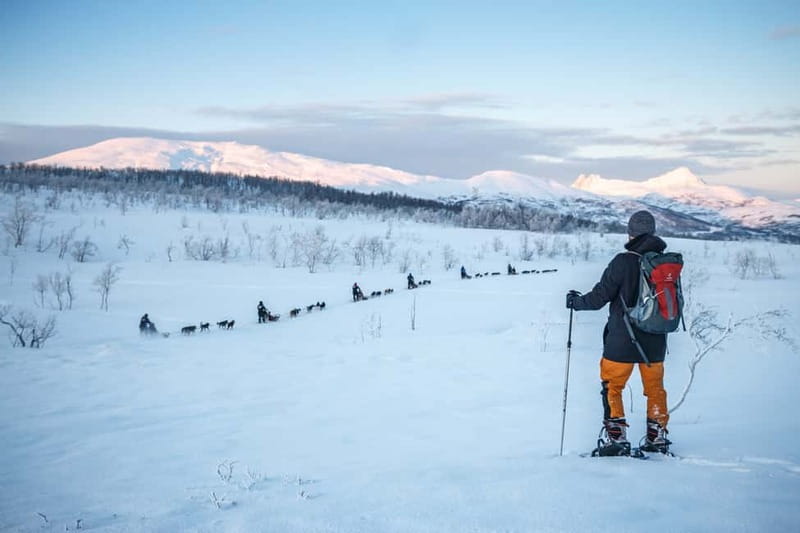 From Tromsø: Guided Husky Snowshoe Hike and Husky Camp Visit - Getting dressed for Arctic conditions