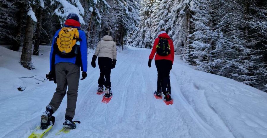 From Tromsø: Snowshoe Hike in the Arctic - A practical Arctic outing from Tromsø