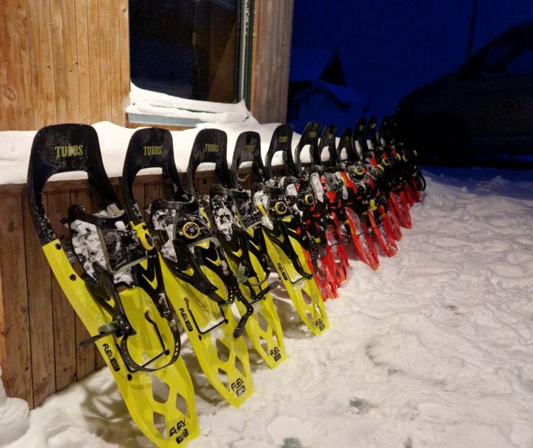 From Tromsø: Snowshoe Hike in the Arctic - How hard is the hike?