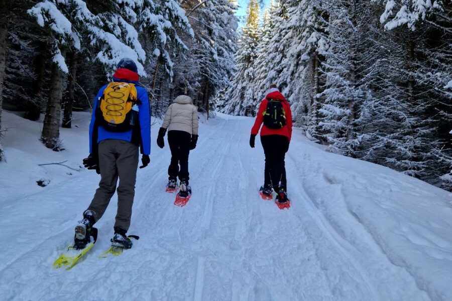 From Tromsø: Snowshoe Hike in the Arctic - Ersfjordbotn and the first steps on snow